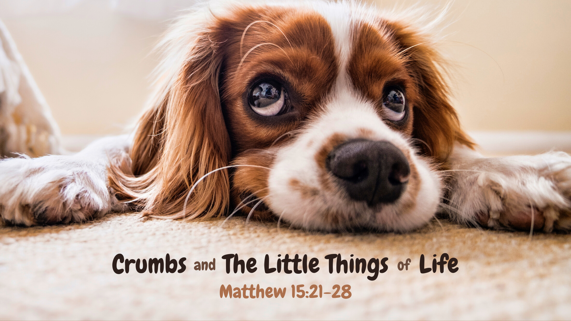 Crumbs and The Little Things of Life 5-22-22